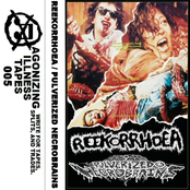 REEKORRHOEA / PULVERIZED NECROBRAINS