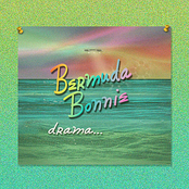 Gum by Bermuda Bonnie