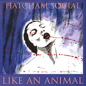 Like An Animal single