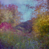 Thus Love: Centerfield