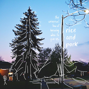 the universal law of knowing when to give up.