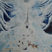 Those Who The Winter Path Reveals