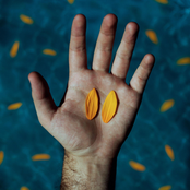 Venn Diagrams, Pt. 2