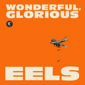 Your Mama Warned You by Eels