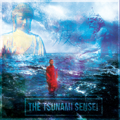 The T$UNAMI $ENSEI