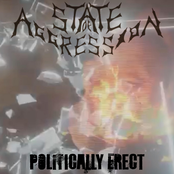 Politically Erect