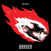 Animal - Single