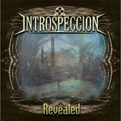 Timeless Paradox by Introspección