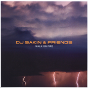 Dragonfly by Dj Sakin & Friends