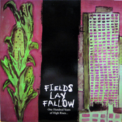 One Hundred Years of High Rises