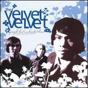 the velvet velvet