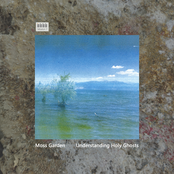 Understanding Holy Ghosts