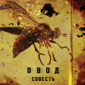 Совесть