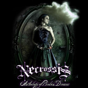 Anthology Of Broken Dreams