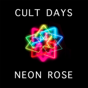 NEON ROSE