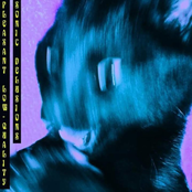 Pleasant low-quality sonic delusions