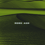 Ash Island: More ASH