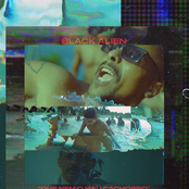 Que Nem o Meu Cachorro