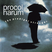 All Our Dreams Are Sold by Procol Harum