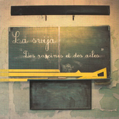 Des Racines Et Des Ailes