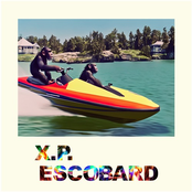 Jetski Madness in Pungent Sound