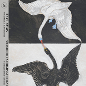 Tchaikovsky: Tchaikovsky: Swan Lake Suites