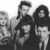 Herman Brood & His Wild Romance