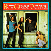 The Arrival of the New Grass Revival