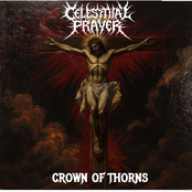 Crown Of Thorns