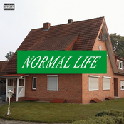 Normal Life