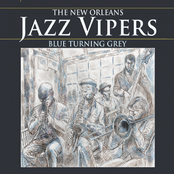 The New Orleans Jazz Vipers: Blue Turning Grey