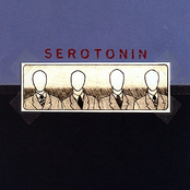 Serotonin: Universal Time Constant
