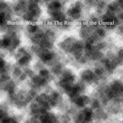 In The Realms of the Unreal
