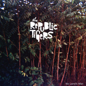 Lonely As I Was by The Republic Tigers