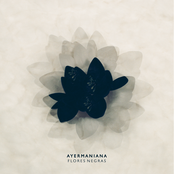 Flores Negras