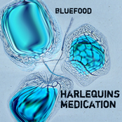 Harlequins Medication (2005)