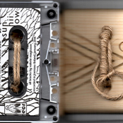 Split with Pine Smoke Lodge