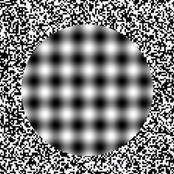 Nocturnal Transmissions