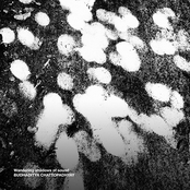 Wandering Shadows of Sound