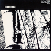 Soul Bamboo by Minoru Muraoka