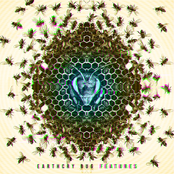 EarthCry: Bug Features