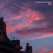 Soundtracks for the Delicate