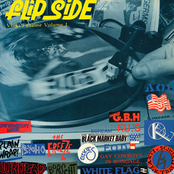 Flipside Vinyl Fanzine Vol. 1