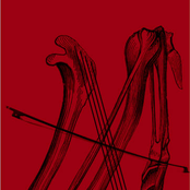 These Feathers Have Plumes