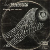 the wings