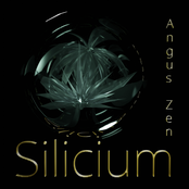 Silicium
