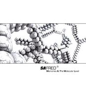 Memories At The Molecular Level