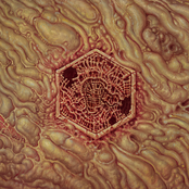 Scorn Original Soundtrack