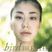 Dear My Friend by Bird