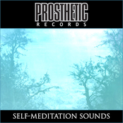 SELF-MEDITATION SOUNDS